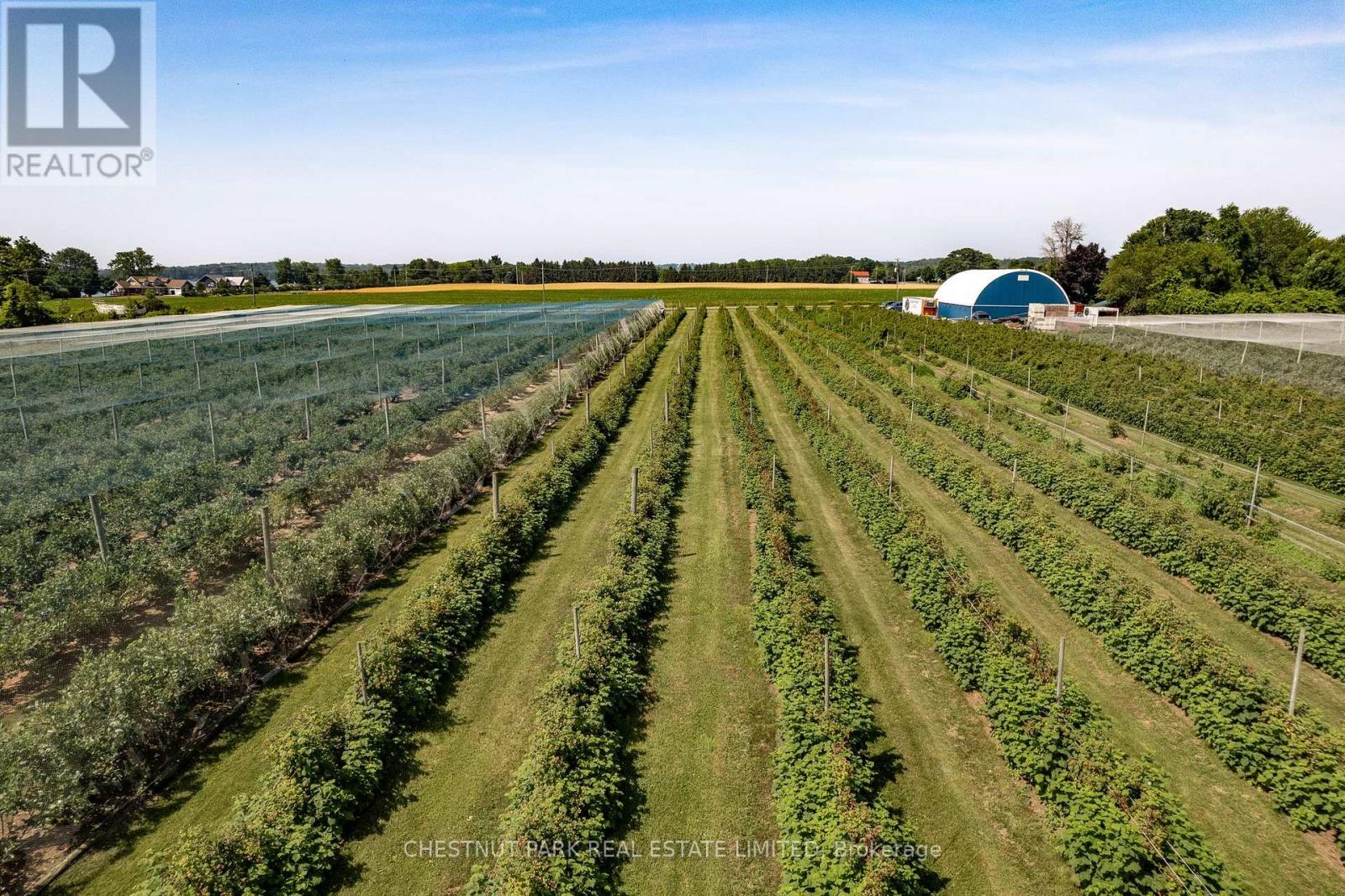 Between 15 & 51 County Road 38, Prince Edward County (North Marysburg Ward), Ontario  K0K 2T0 - Photo 17 - X12184008