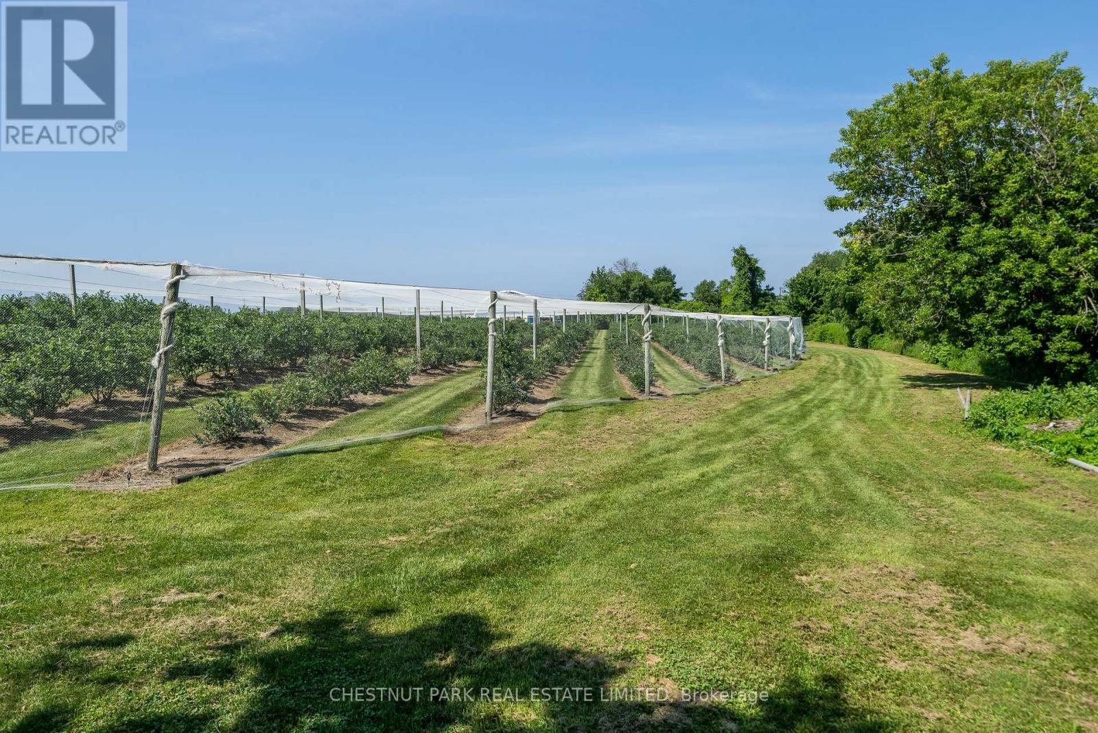 Between 15 & 51 County Road 38, Prince Edward County (North Marysburg Ward), Ontario  K0K 2T0 - Photo 22 - X12184008