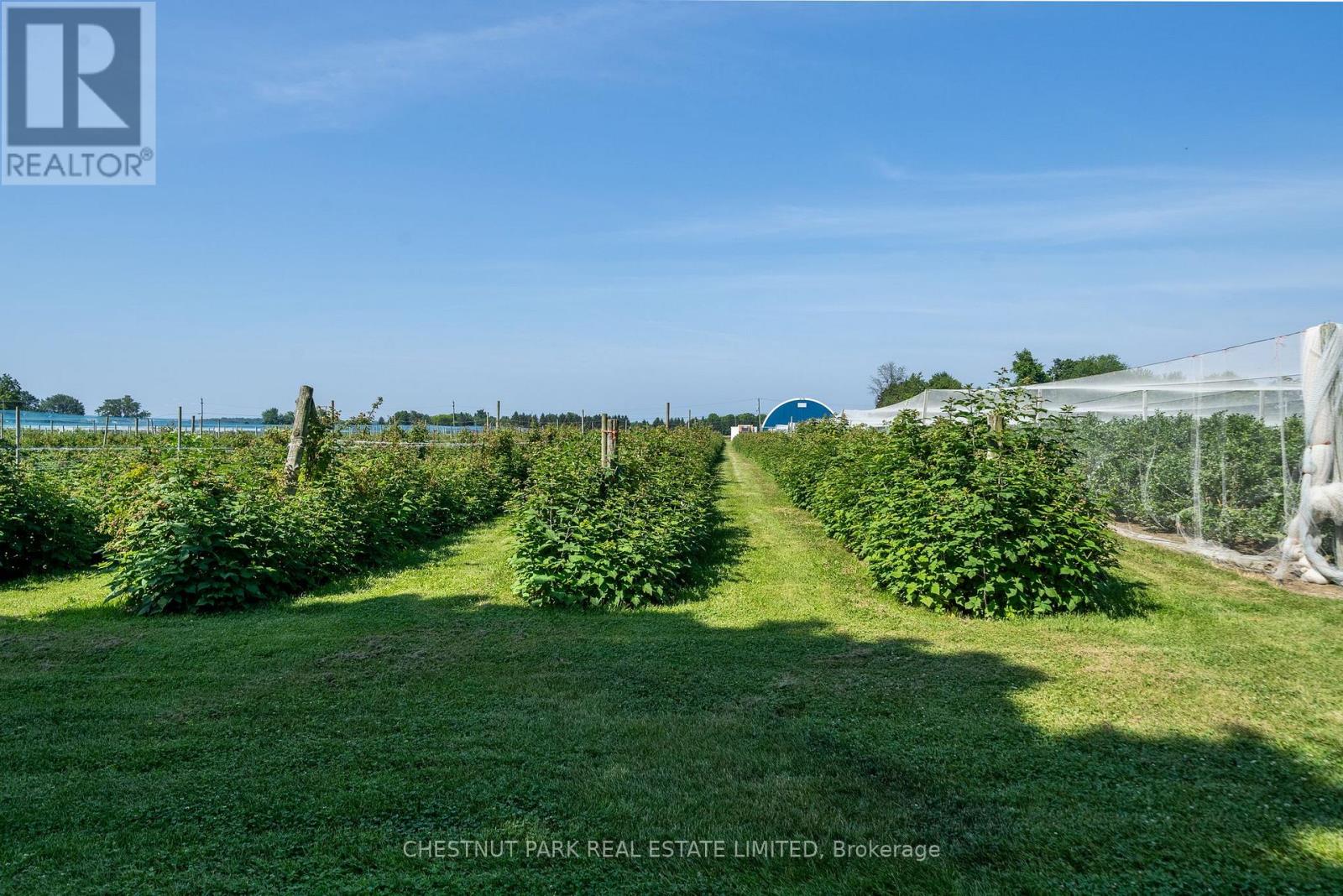 Between 15 & 51 County Road 38, Prince Edward County (North Marysburg Ward), Ontario  K0K 2T0 - Photo 23 - X12184008