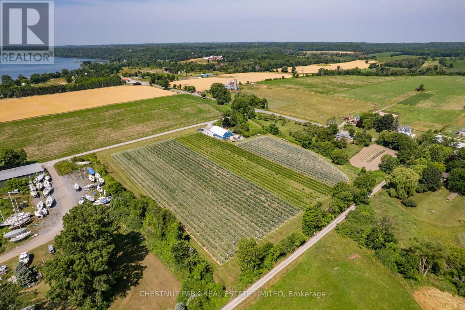 Between 15 & 51 County Road 38, Prince Edward County (North Marysburg Ward), Ontario  K0K 2T0 - Photo 8 - X12184008