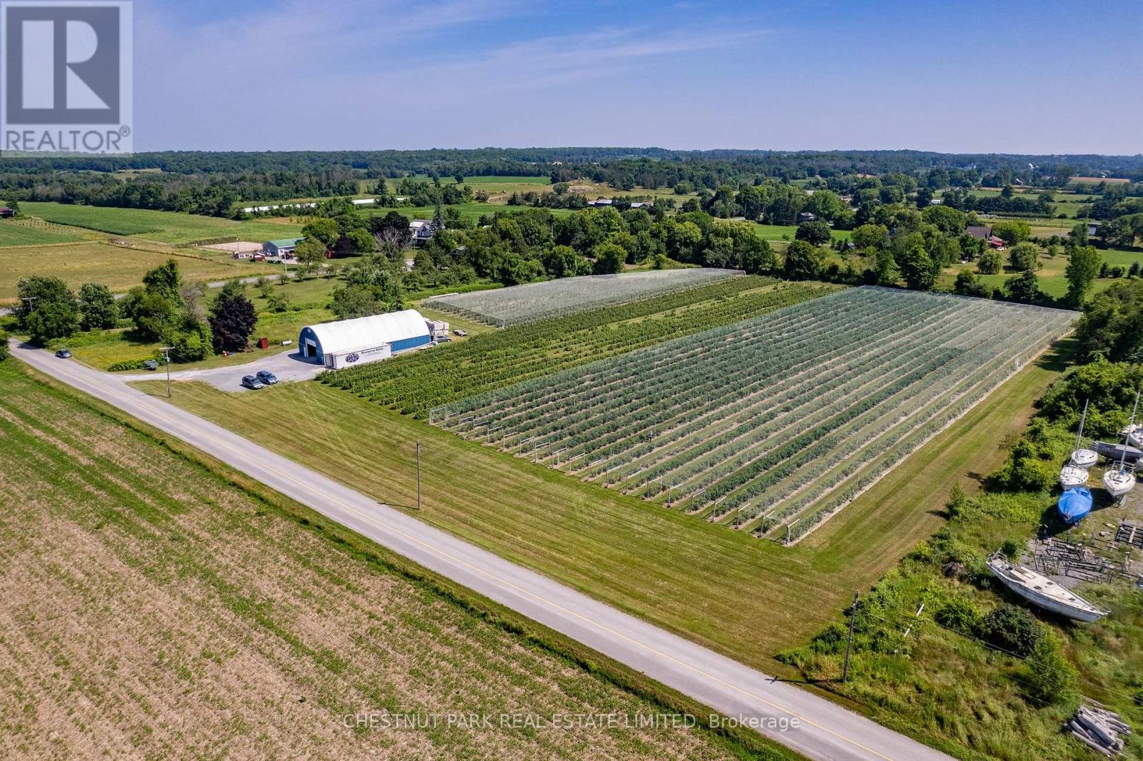 Between 15 & 51 County Road 38, Prince Edward County (North Marysburg Ward), Ontario  K0K 2T0 - Photo 9 - X12184008