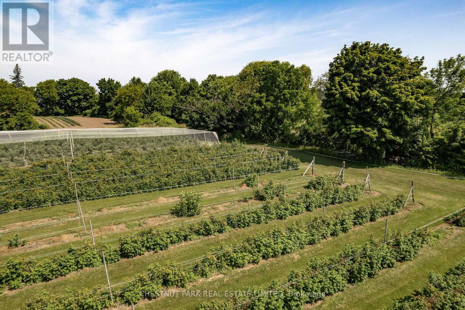 Between 15 & 51 County Rd 38 Road, Prince Edward County (North Marysburg Ward), Ontario  K0K 2T0 - Photo 16 - X12184014