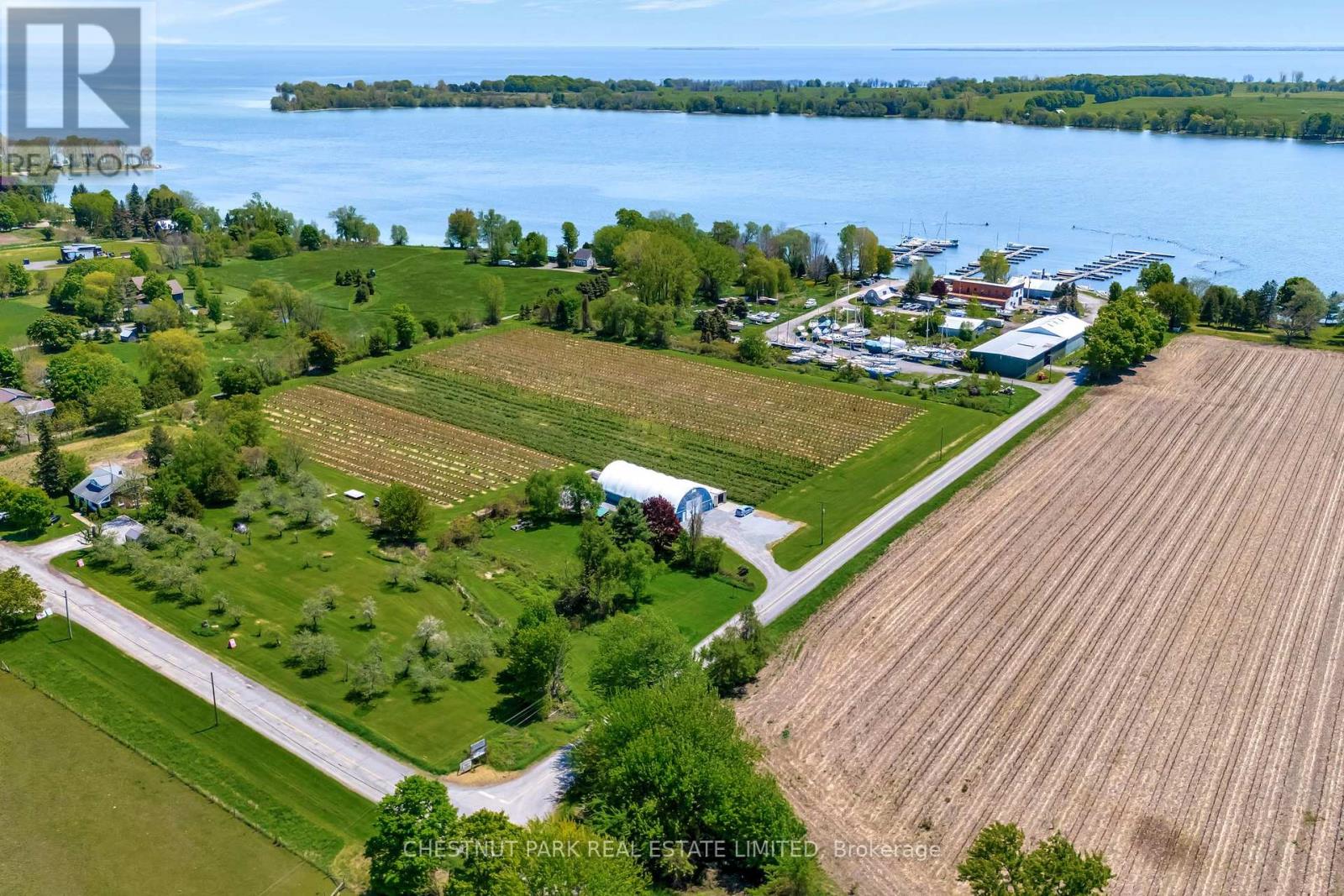 Between 15 & 51 County Rd 38 Road, Prince Edward County (North Marysburg Ward), Ontario  K0K 2T0 - Photo 4 - X12184014