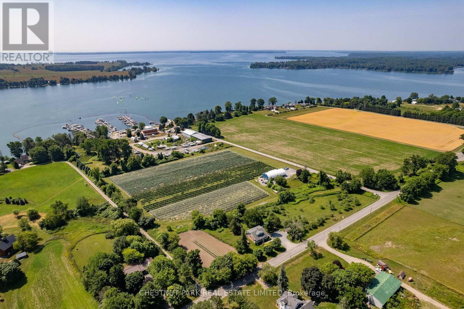 Between 15 & 51 County Rd 38 Road, Prince Edward County (North Marysburg Ward), Ontario  K0K 2T0 - Photo 5 - X12184014