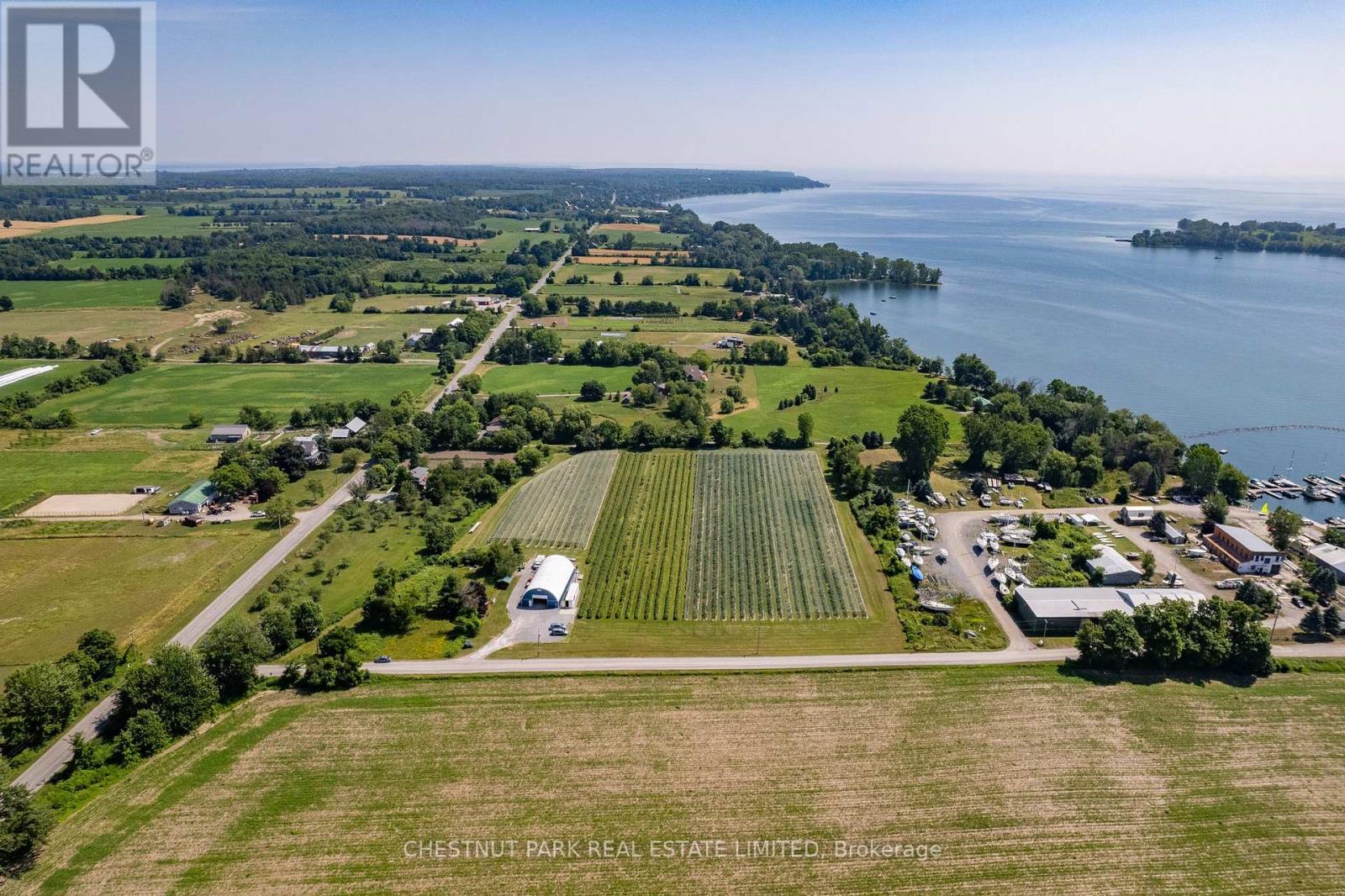 Between 15 & 51 County Rd 38 Road, Prince Edward County (North Marysburg Ward), Ontario  K0K 2T0 - Photo 6 - X12184014