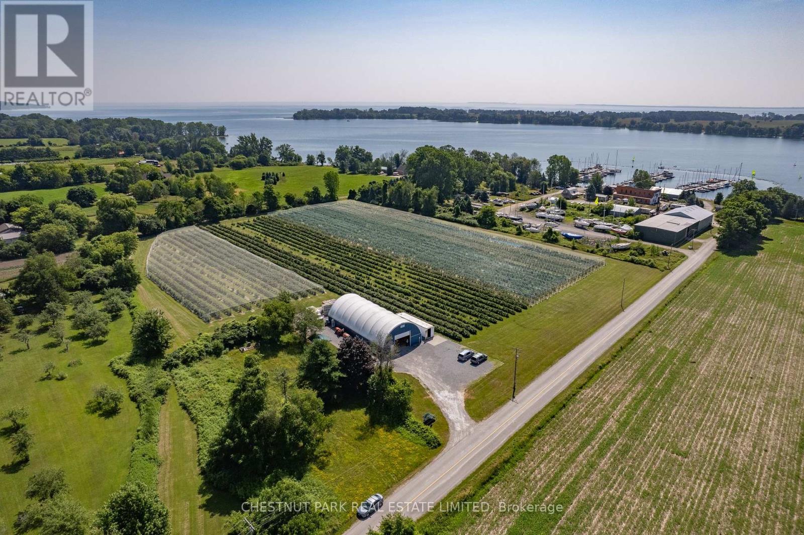 Between 15 & 51 County Rd 38 Road, Prince Edward County (North Marysburg Ward), Ontario  K0K 2T0 - Photo 7 - X12184014