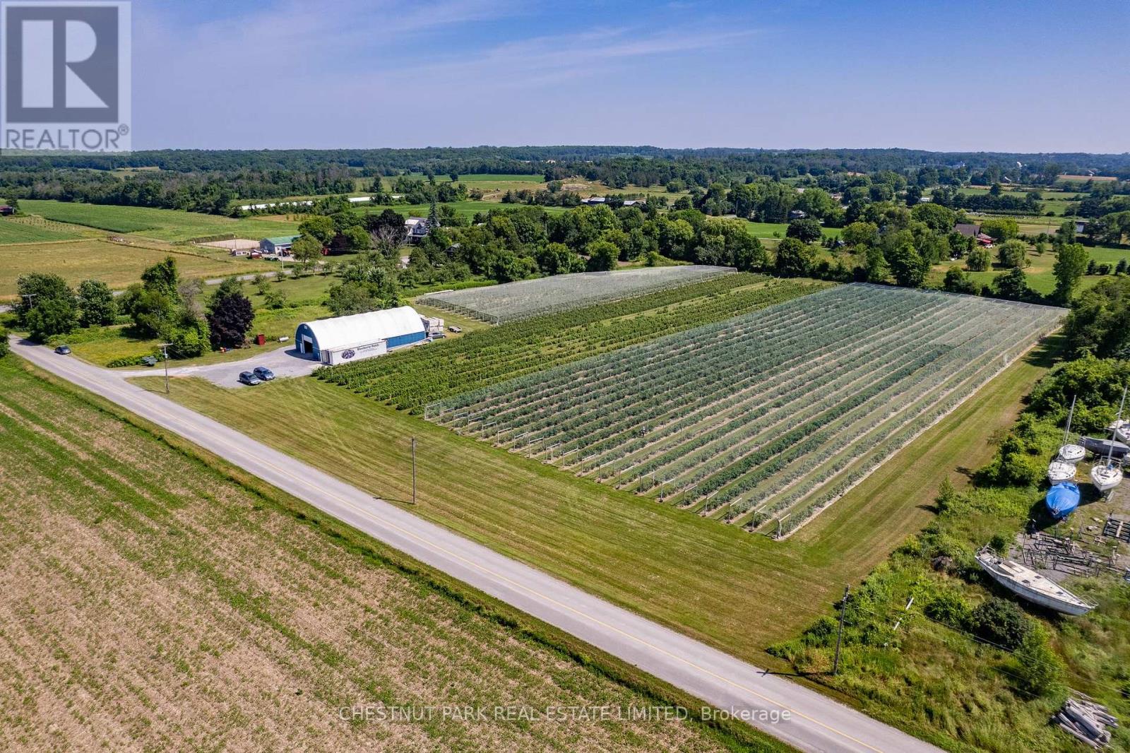 Between 15 & 51 County Rd 38 Road, Prince Edward County (North Marysburg Ward), Ontario  K0K 2T0 - Photo 9 - X12184014