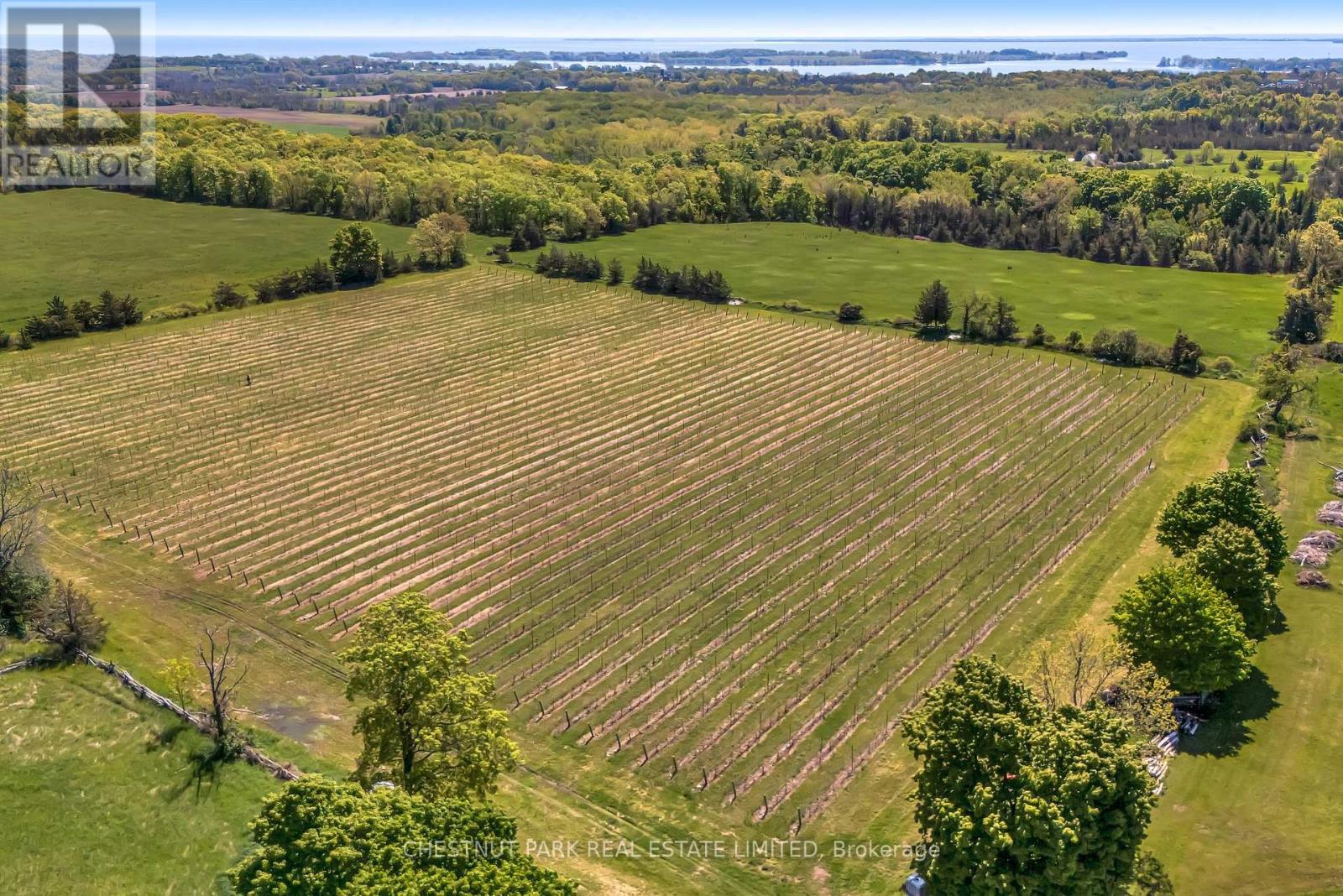 419 County Rd 25, Prince Edward County (North Marysburg Ward), Ontario  K0K 2T0 - Photo 3 - X12189479