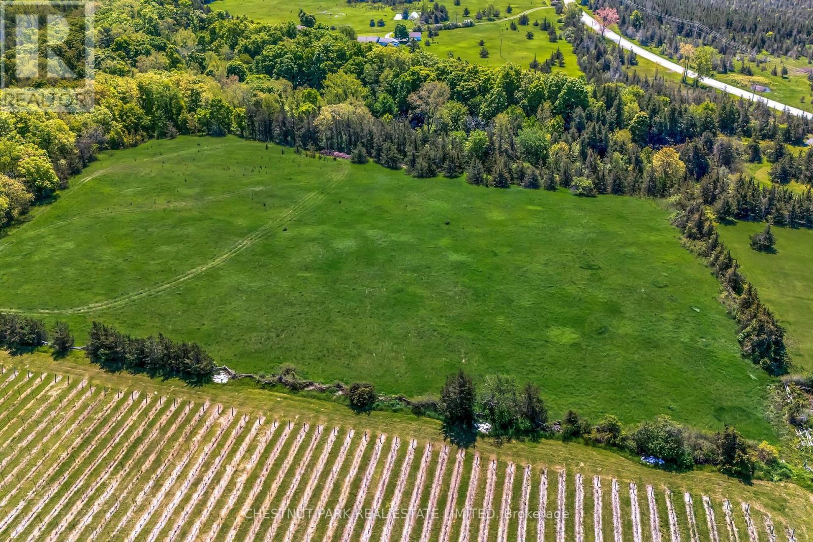 419 County Rd 25, Prince Edward County (North Marysburg Ward), Ontario  K0K 2T0 - Photo 4 - X12189479