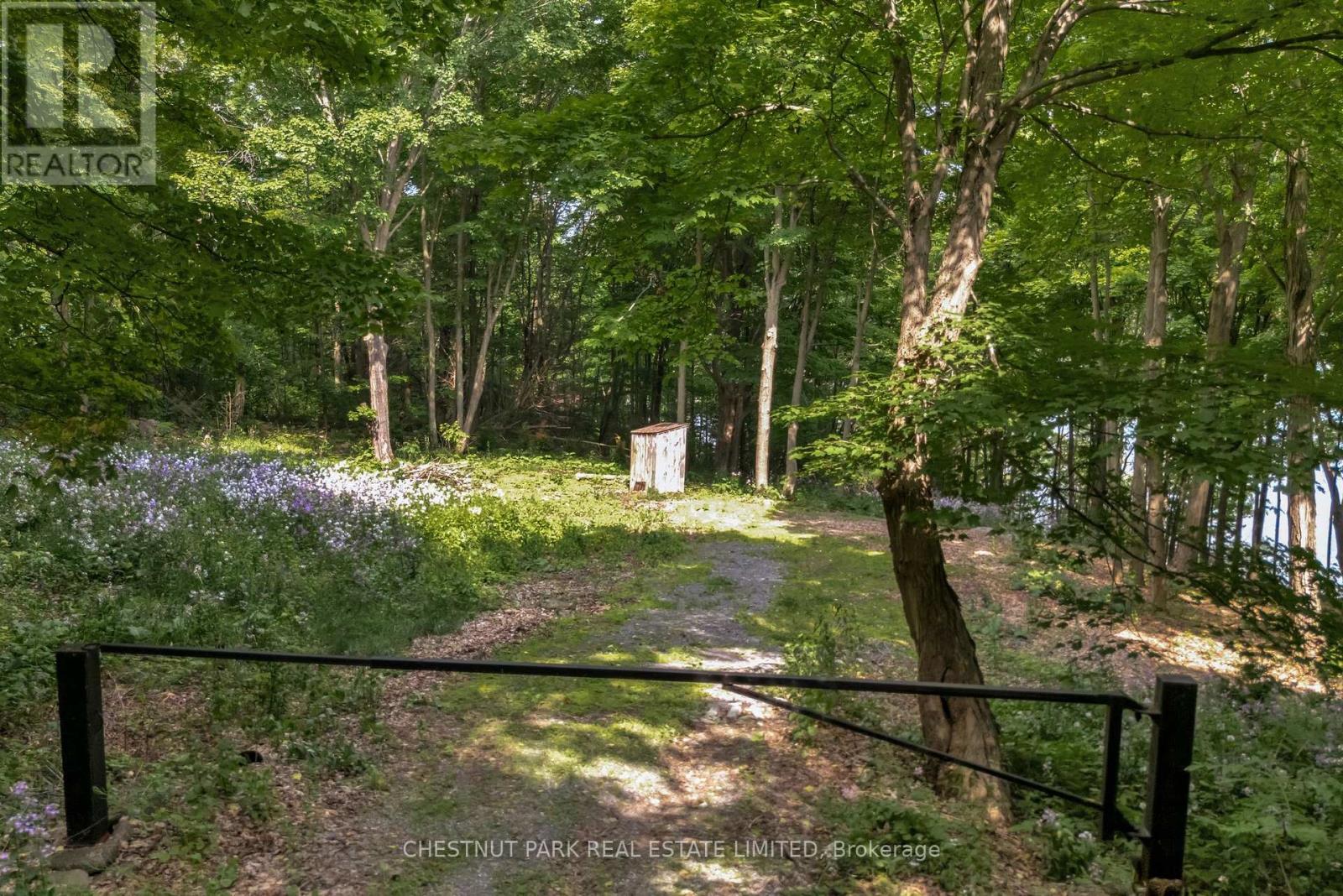 N/a Mccarthy Lane, Prince Edward County (North Marysburgh), Ontario  K0K 2T0 - Photo 4 - X12223069