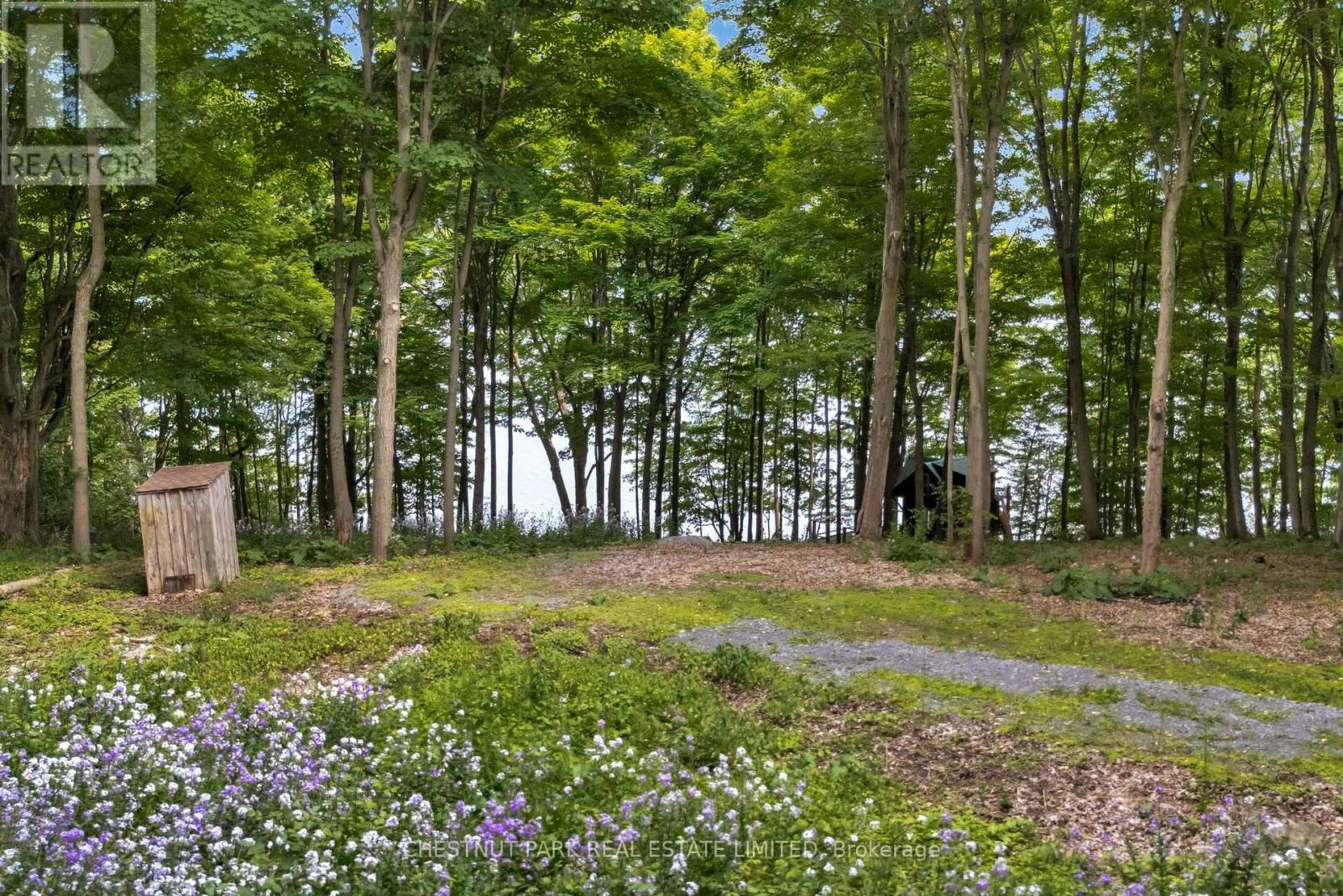 N/a Mccarthy Lane, Prince Edward County (North Marysburgh), Ontario  K0K 2T0 - Photo 5 - X12223069