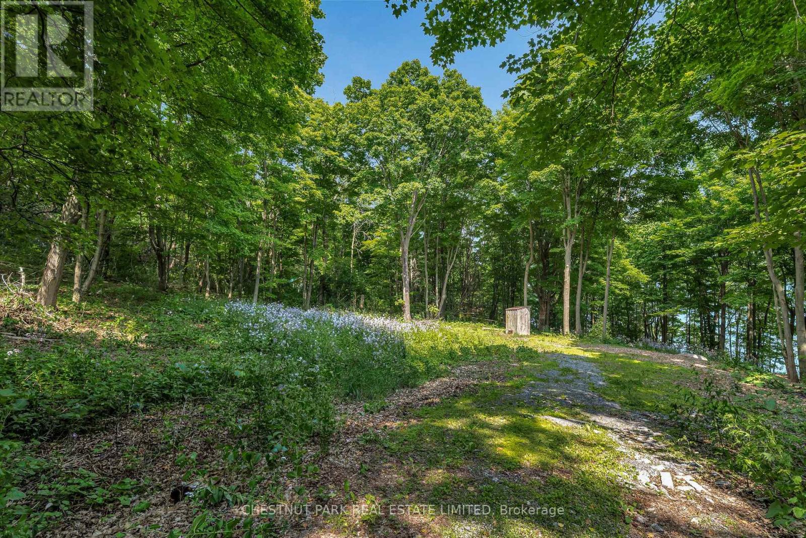 N/a Mccarthy Lane, Prince Edward County (North Marysburgh), Ontario  K0K 2T0 - Photo 7 - X12223069