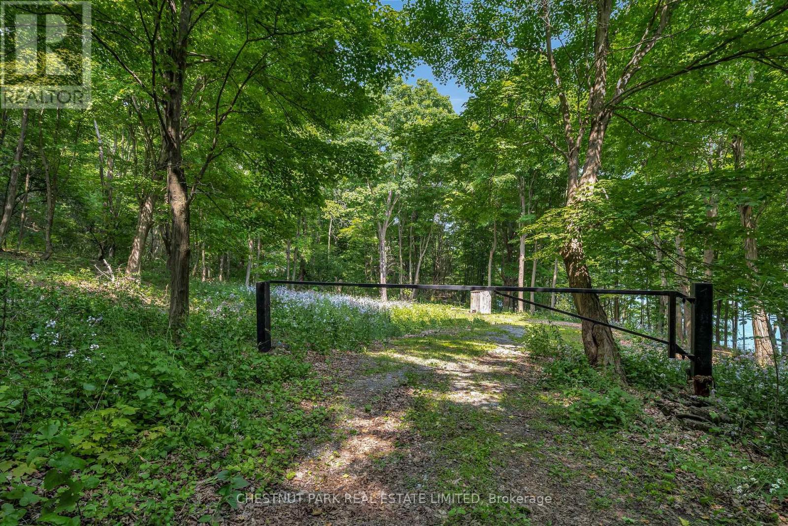 N/a Mccarthy Lane, Prince Edward County (North Marysburgh), Ontario  K0K 2T0 - Photo 8 - X12223069