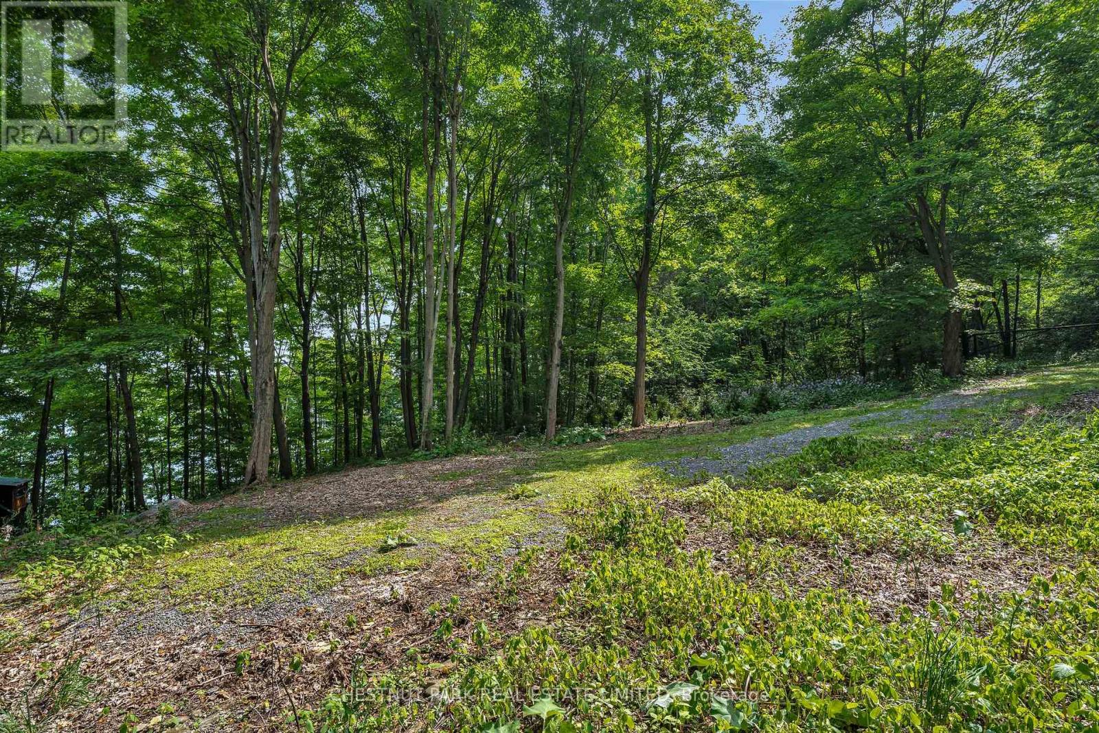 N/a Mccarthy Lane, Prince Edward County (North Marysburgh), Ontario  K0K 2T0 - Photo 9 - X12223069