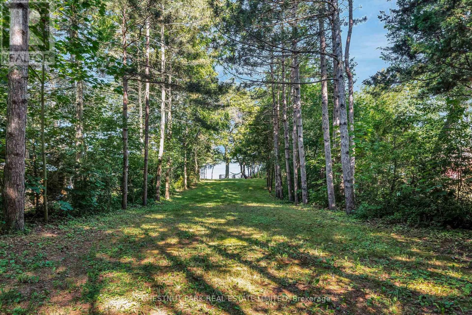 1716 County Rd 12, Prince Edward County (Hallowell Ward), Ontario  K0K 2T0 - Photo 43 - X12271914