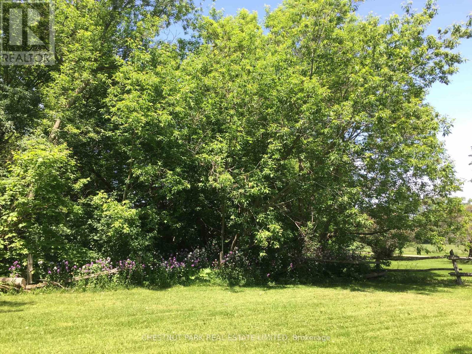 1336 County Rd 11, Prince Edward County (Athol Ward), Ontario  K0K 2T0 - Photo 35 - X12977756