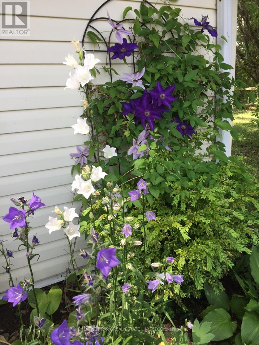 1336 County Rd 11, Prince Edward County (Athol Ward), Ontario  K0K 2T0 - Photo 38 - X12977756