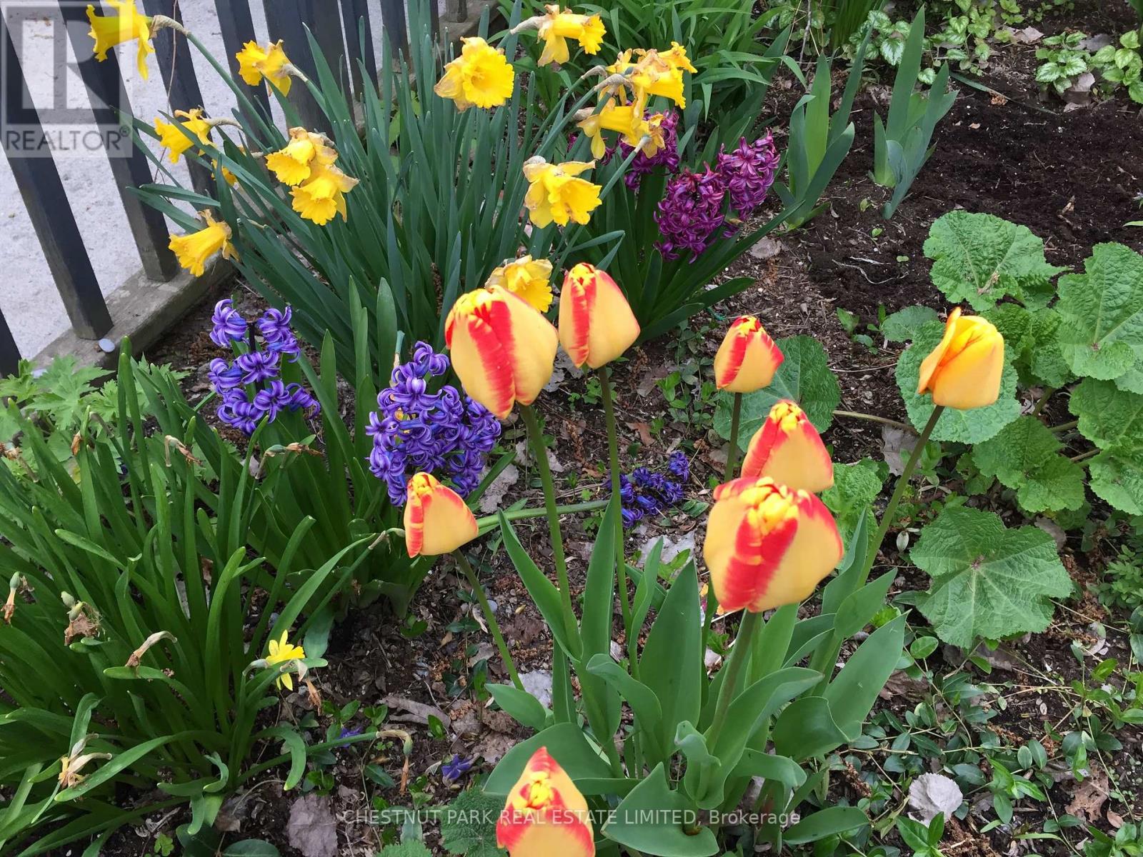 1336 County Rd 11, Prince Edward County (Athol Ward), Ontario  K0K 2T0 - Photo 39 - X12977756