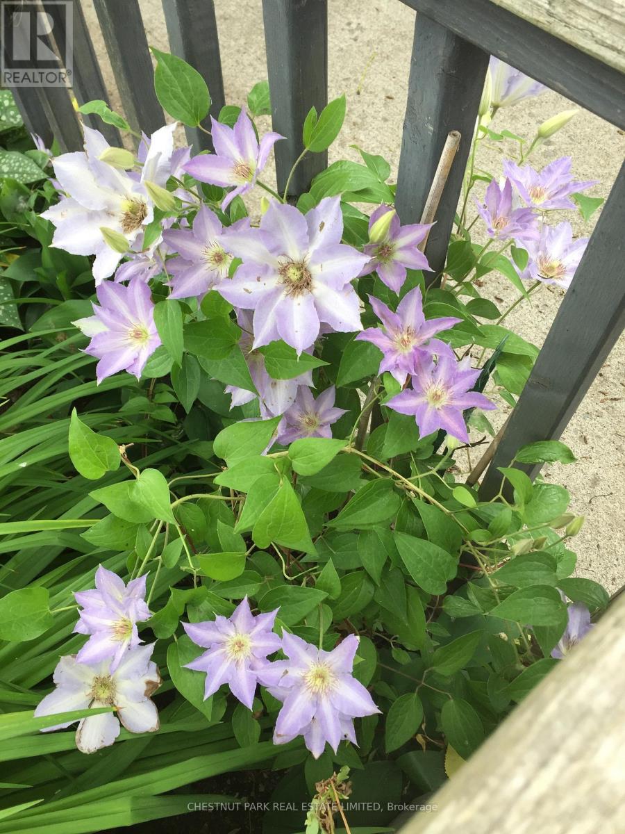 1336 County Rd 11, Prince Edward County (Athol Ward), Ontario  K0K 2T0 - Photo 40 - X12977756