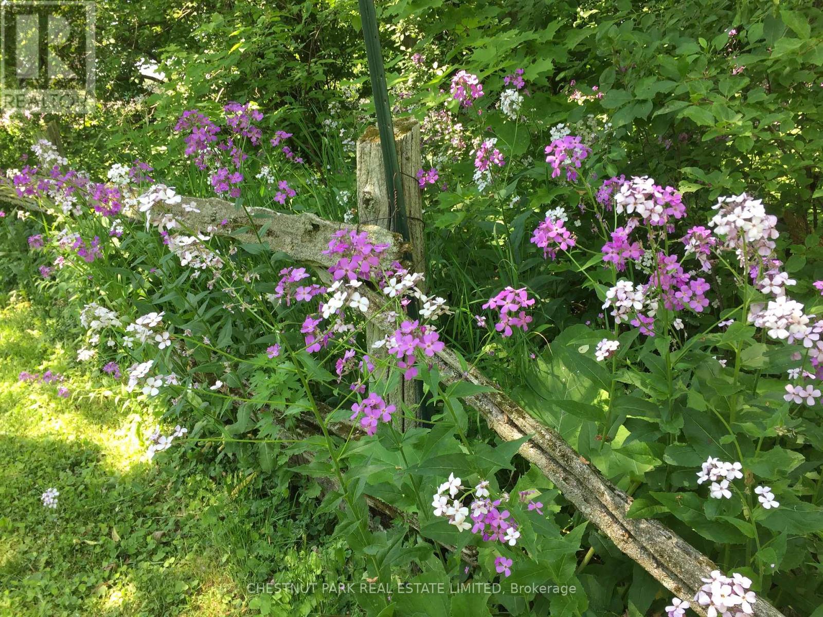 1336 County Rd 11, Prince Edward County (Athol Ward), Ontario  K0K 2T0 - Photo 43 - X12977756