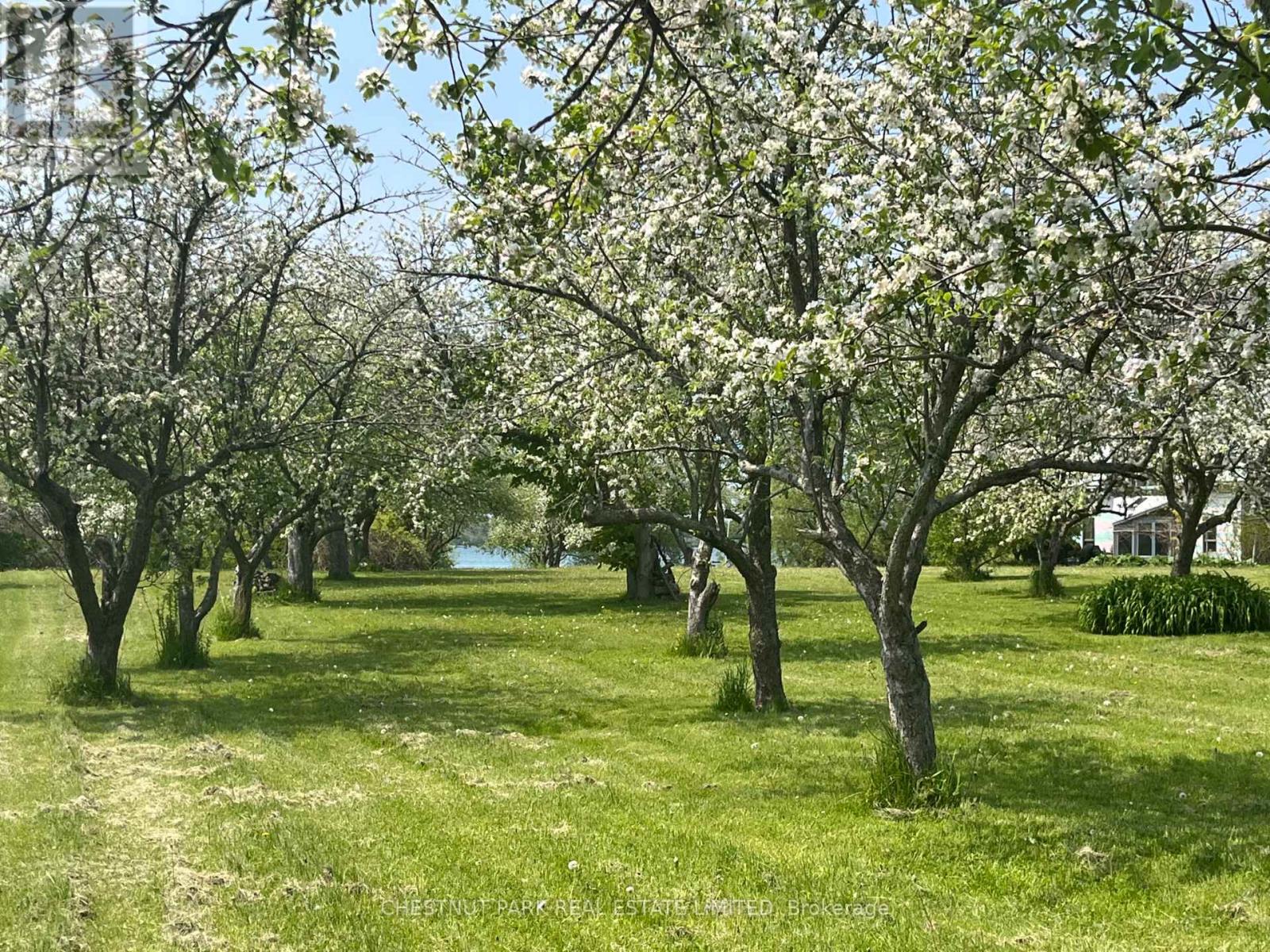 3071 County Road 13, Prince Edward County (South Marysburg Ward), Ontario  K0K 2T0 - Photo 46 - X13124276