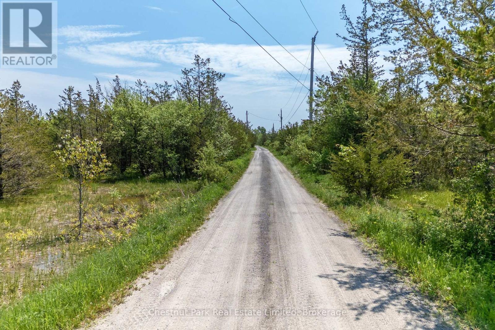 Next To 2451 County Road 15, Prince Edward County (Sophiasburgh), Ontario  K0K 2T0 - Photo 17 - X13156698